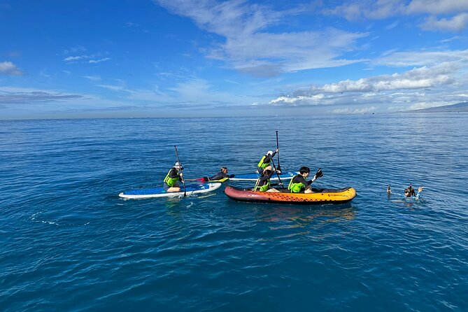 Deluxe Turtle Snorkeling Escapade at Waikiki - Preparing for Your Adventure
