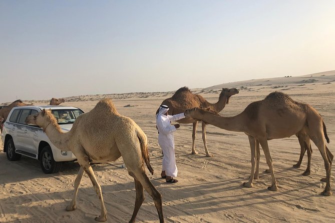 Desert Safari 7 Hours Tour With Dinner and Camp - Dune Bashing Adventure