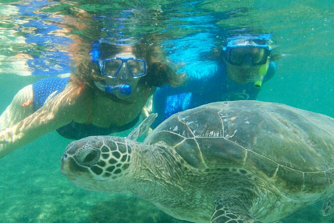 Diamond Head Hiking & Kailua Town & Kaneohe Snorkeling - Basic - Questions About Your Stay