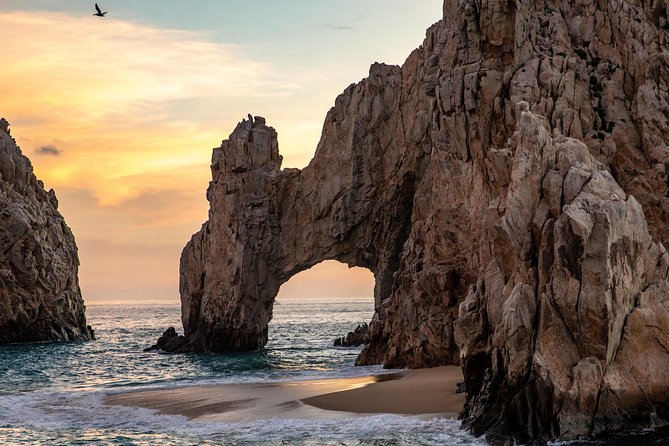 Dinner Cruise Tour in Cabo San Lucas With Tequila Tasting - Dinner and Drinks