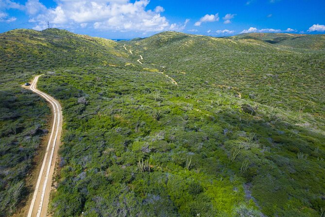 Discover Aruba Self Guided Island Tour - Preparing for Your Adventure