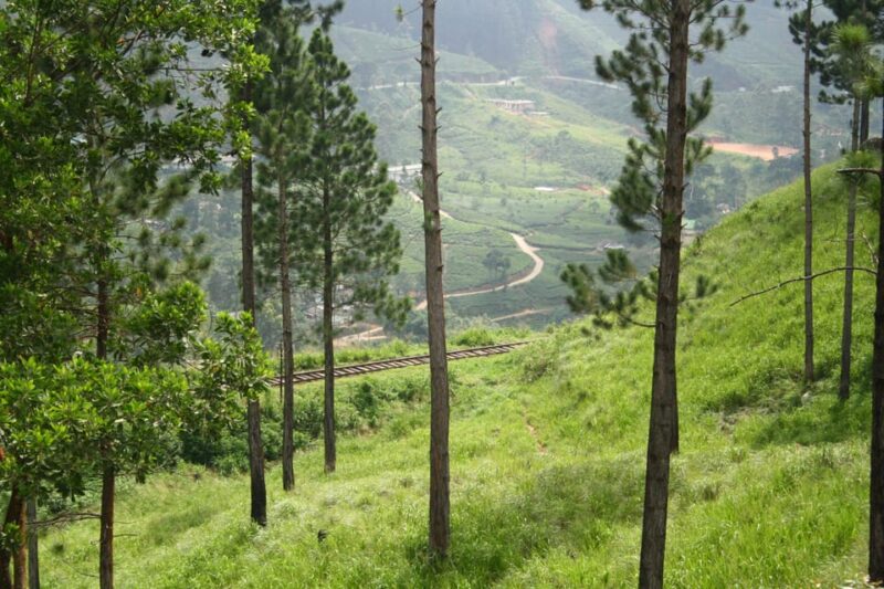 Discover Ceylon + Horton Plains 6 Days Tour - Private Group Experience