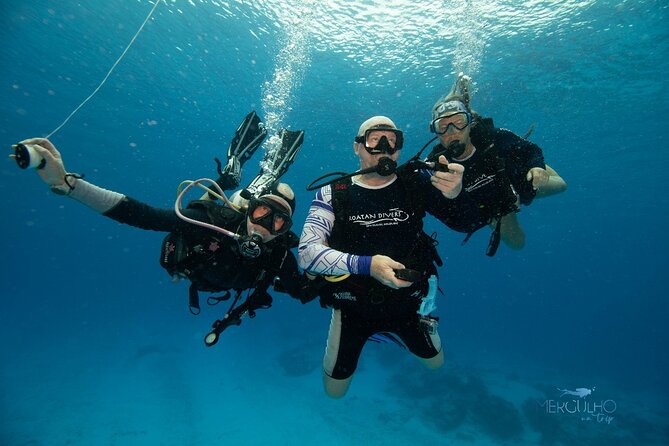 Discover Scuba Diving in Cozumel - Preparing for the Dive