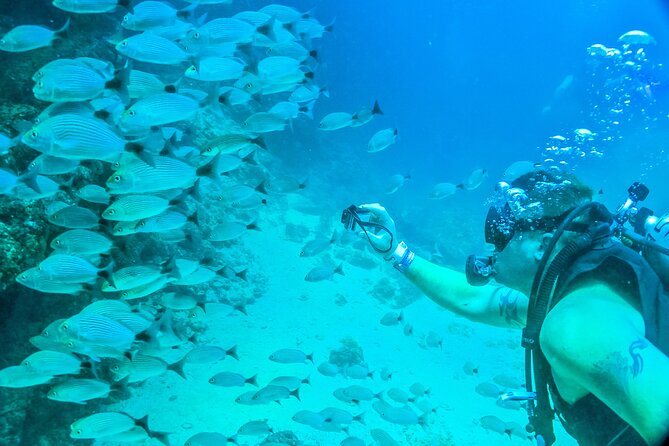 Discover Scuba Experience at Las Caletas, Puerto Vallarta - Booking Information