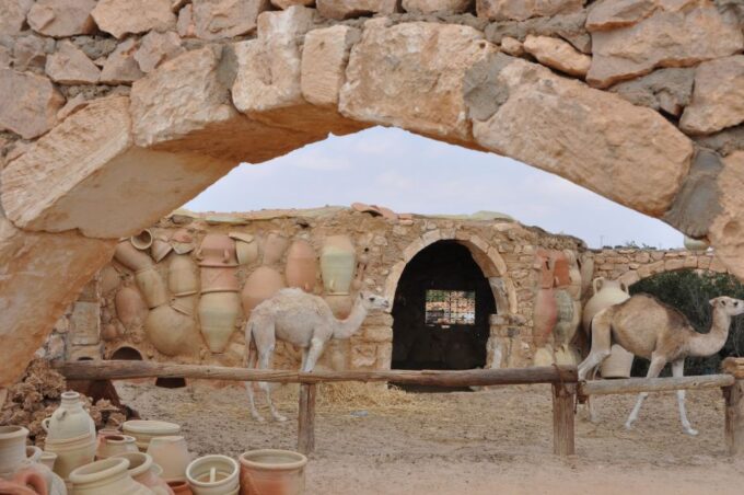 Djerba: Half-Day Island Tour - Djerbias Cultural Immersion