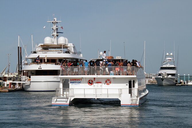 Dolphin Morning Watching & Snorkeling + Open Bar + 1 Day Hop-On Hop-Off Fun - Pricing Information