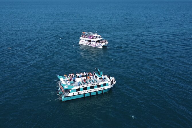 Dolphin Watching on a Catamaran in Fuengirola - Recommendations and Reviews
