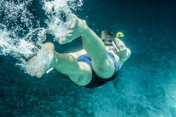 Dolphin Watching & Snorkeling in Key West With Sunset Dinner Cruise and Open Bar - Dining Experience