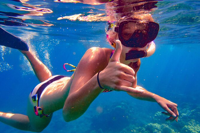 Dominican Republic: See Almost It ALL in 6 Days, 1st Class Custom Tours - Highlights
