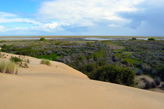 Doñana 4x4 and El Rocío Tour - Tour Highlights