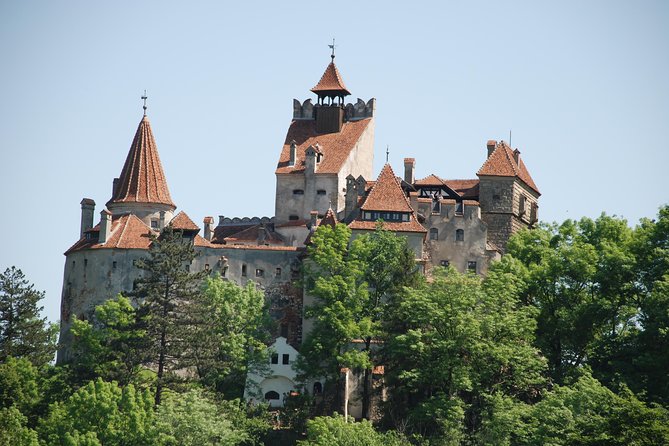 Draculas Castle & Peles Palace Tour From Bucharest Including Brasov Old Town - Peles Castle
