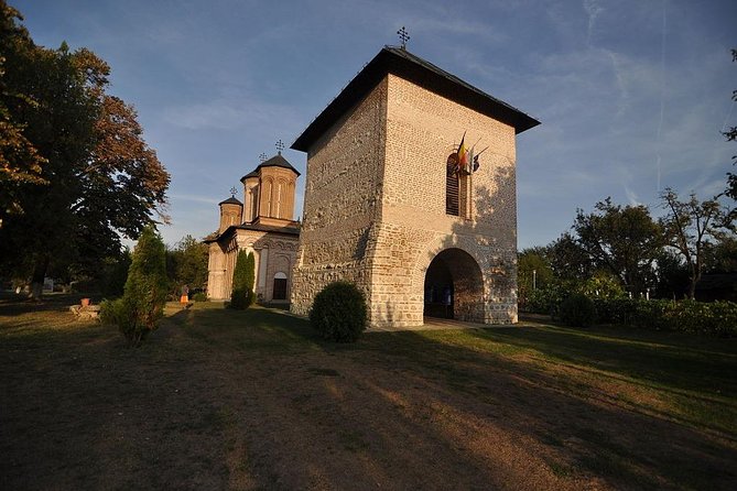 Draculas Tomb and Mogosoaia Palace, Private Tour From Bucharest - Customer Reviews and Ratings