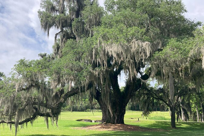 Drayton Hall Plantation Tour - Pricing and Inclusions