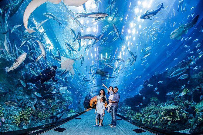 Dubai Aquarium and Underwater Zoo - Tips for Planning Your Visit