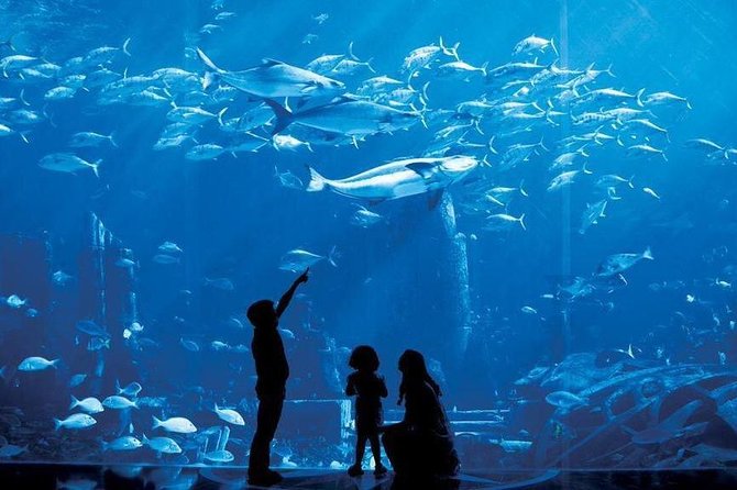 Dubai City Tour - Half Day - What to Expect