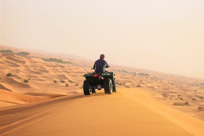 Dubai Red Dune Desert Safari Camel Ride Sandboard & BBQ Dinner - Tips for a Great Experience