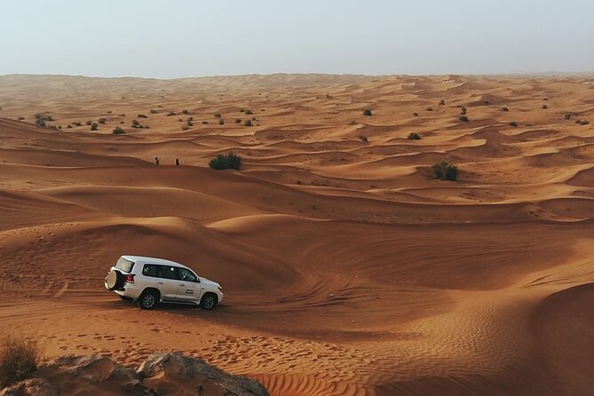 Dubai Trip Like a Local - Online Guide - Essential Travel Tips for Visitors