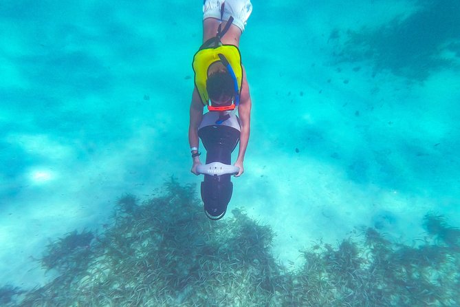 Dunns River Climb, Zipline and Catamaran Cruise From Ocho Rios - Exploring the Stunning Scenery