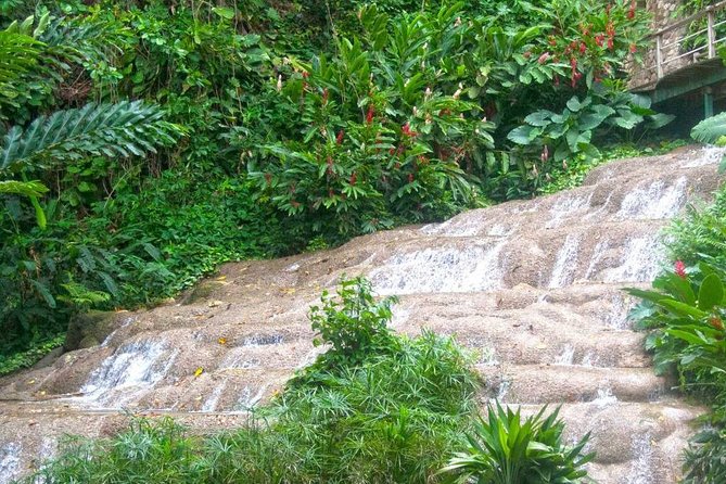Dunn's River Falls and Konoko Garden - Visiting Konoko Garden