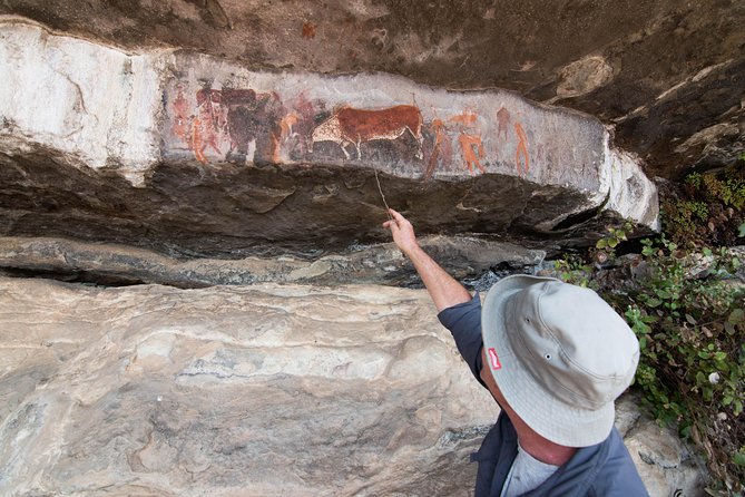 Durban: Drakensberg Rock Art, Midlands Meander & Mandela Capture Site - Traveler Reviews and Ratings