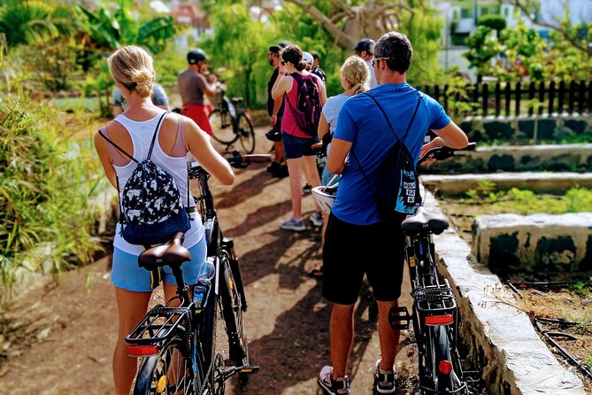 E-Bike Sightseeing Tour at Sunset or in the Morning : Maspalomas and Meloneras - Local Guides Insights