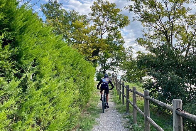 E-Bike Tour and Wine Tasting From Desenzano Inland - Traveler Reviews