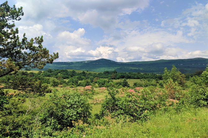 E-bike Tour: Istrian Countryside & Parenzana - Booking Information and Tips