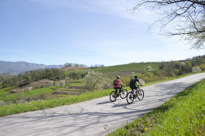 E-bike Vipava River Tour - Customer Feedback and Support