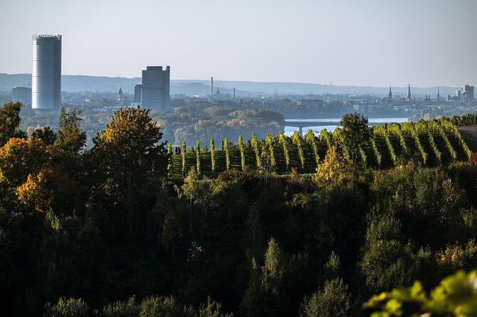 E-Scavenger Hunt Bonn: Explore the City at Your Own Pace - The Sum Up