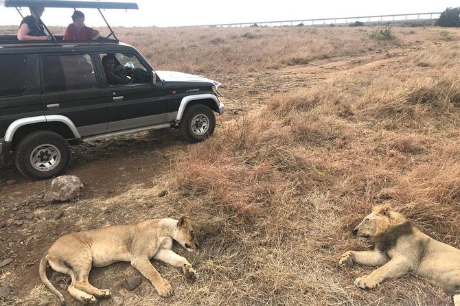 Early Morning Group Joining Mini Safari To Nairobi National Park - Customer Reviews and Ratings