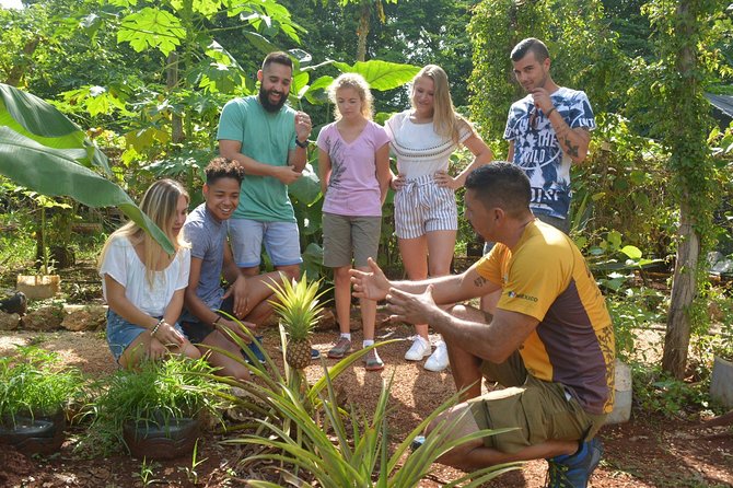 Ek Balam Tour From Cancun Including Cenote Maya Park - Food and Overall Impression