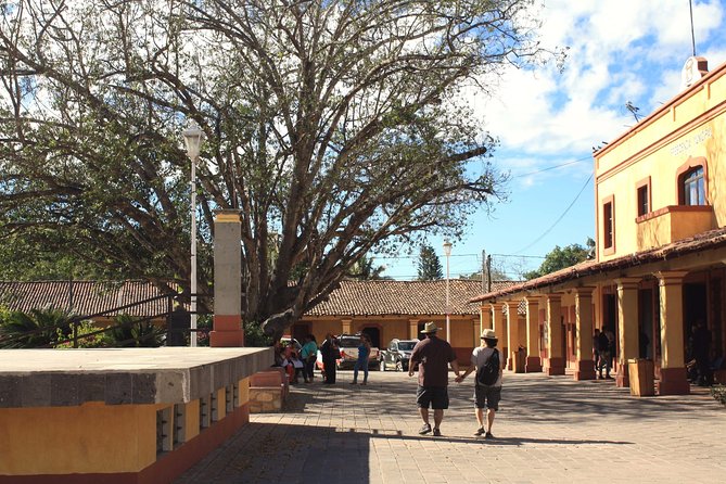 El Tuito Day Trip From Puerto Vallarta With Tequila and Lunch - How to Book the Tour