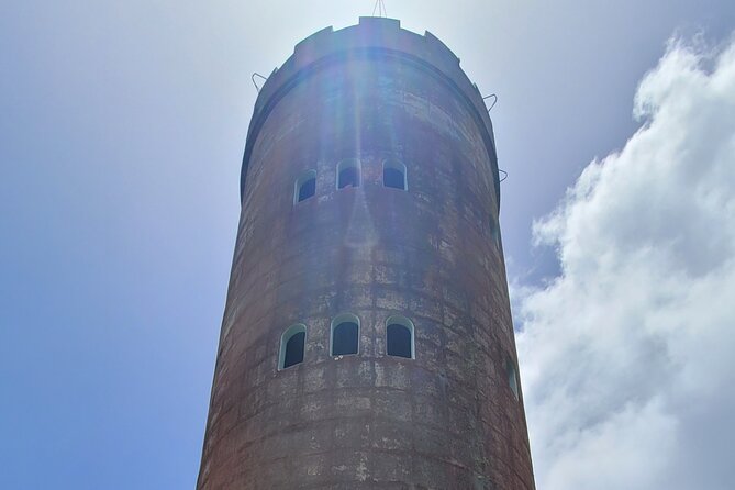 El Yunque National Forest - The Road 191 Corridor - Half Day Tour - Natural Wonders of El Yunque