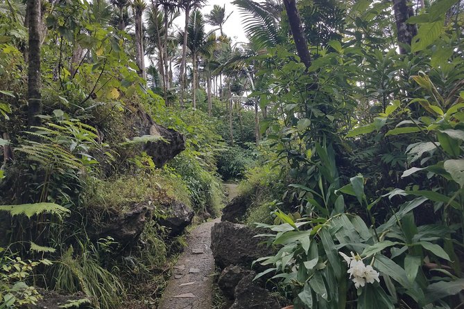 El Yunque Rainforest Full Day Private Tour - Swimming in the River