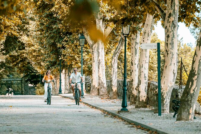 Electric Bike Tour Through the Douro Valley - Douro Wine and Port Tasting