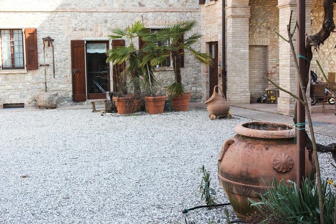 Enjoy a Private Balsamic Vinegar Tour in Vignola, Modena in French or German - Sum Up