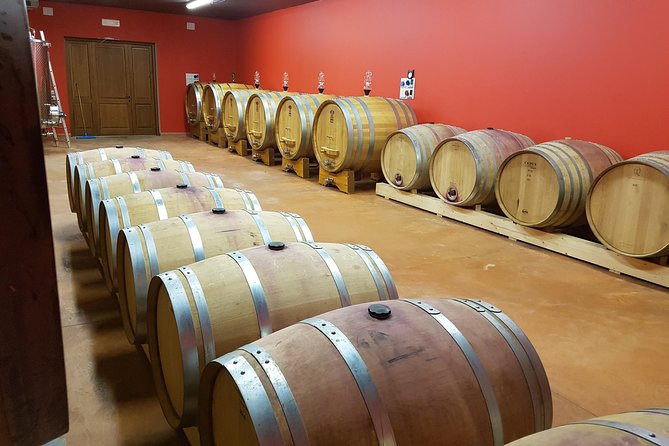 Enjoy a Wine Tasting After a Cycling Excursion in the Magic of Tuscany - Frequently Asked Questions