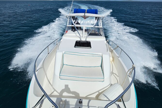 Enjoy the Best Boat Excursion in Puerto Rico. All Inclusive - Why Choose This Boat Tour