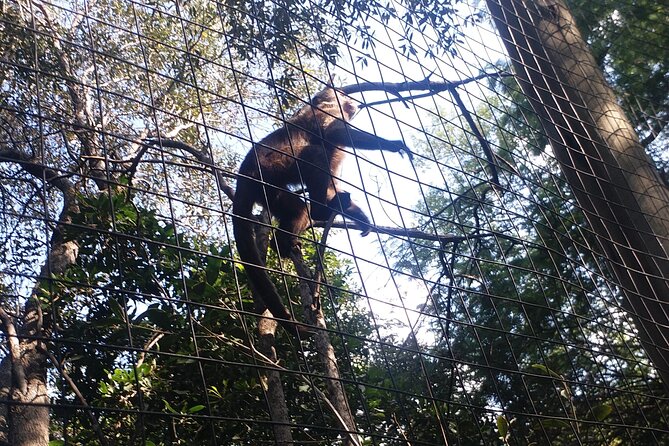 Enlightening Elephants And Monkeys Sanctuary Guided Day Tour - Tour Duration and Location