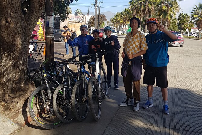 Ensenada Shore Excursion Tacosn Bike Fun Ride - Additional Recommendations