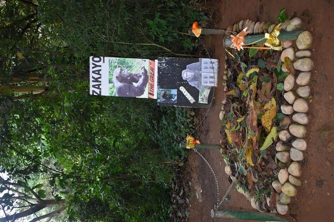 Entebbe Eco Tour - Full Day - Religious History at Kigungu