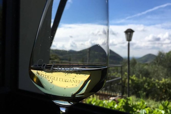 Euganean Hills Wine Tour - Booking Transportation Options
