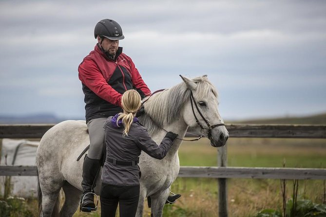 Exclusive Riding Program for Advanced Horse Riders - Give Me 5! - 2 to 3 Hours - Booking and Additional Information