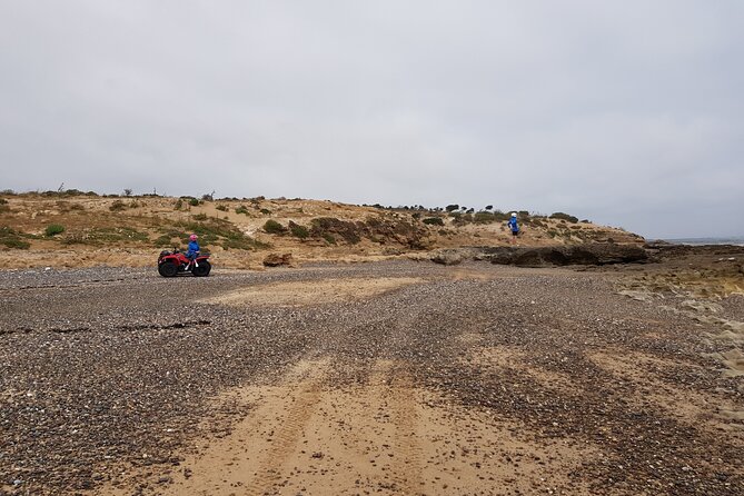 Excursion: 1h/Quad+1h/Camels (Free Transfer) - Booking and Payment Options