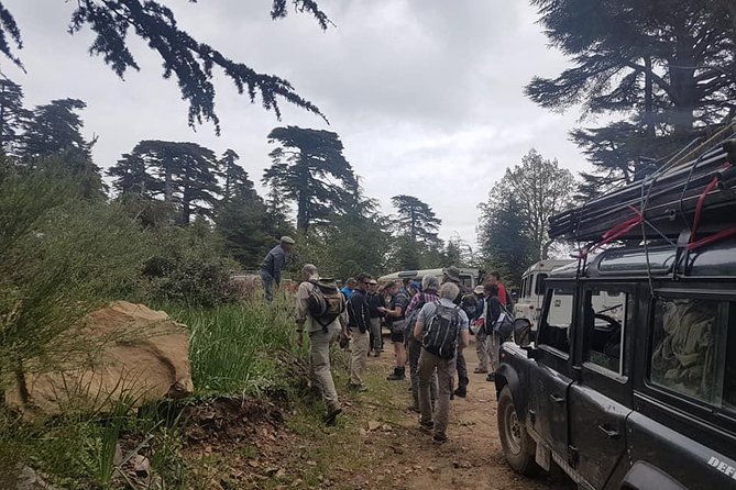 Excursion to the Rif Mountains and Chefchaouen - Pricing and Booking Options
