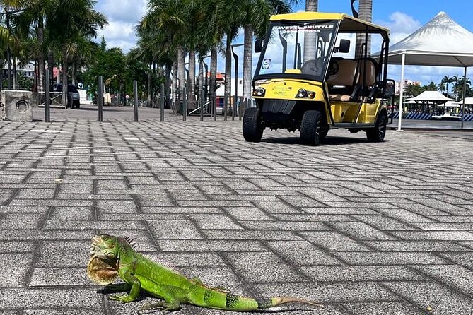 Excursions and Visits Everywhere in Martinique - Frequently Asked Questions