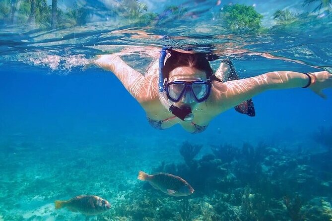 Exotik Half a Day Tour: Cenote Cave and Swimming With Sea Turtles - Preparing for the Tour