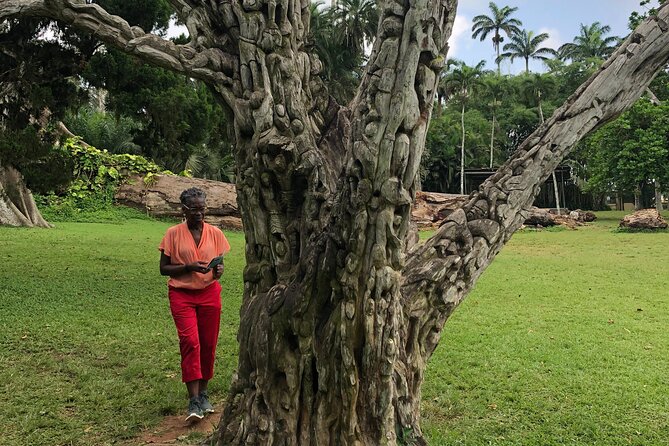 Experience Boti Waterfalls, Aburi Botanical Gardens & Tetteh Quarshie Cocoa Farm - Meeting and Pickup Arrangements