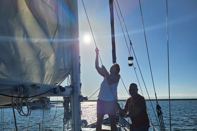 Experience Oceanside Sailing With Whales and Dolphins! - Tips for an Unforgettable Trip