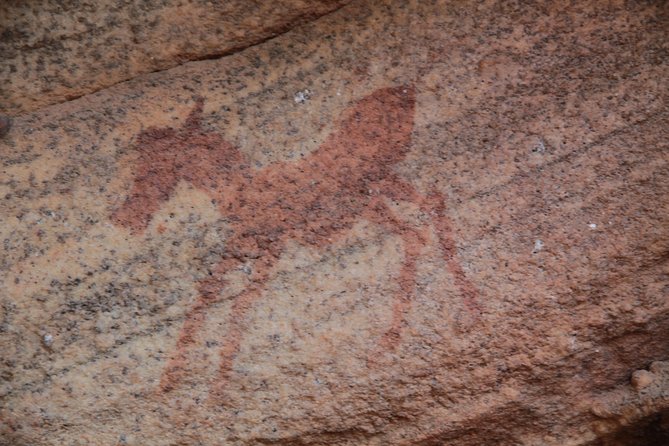 Explore Ancient Rock Art on a Private Guided Trip From Cape Town - Professional Guide Experience